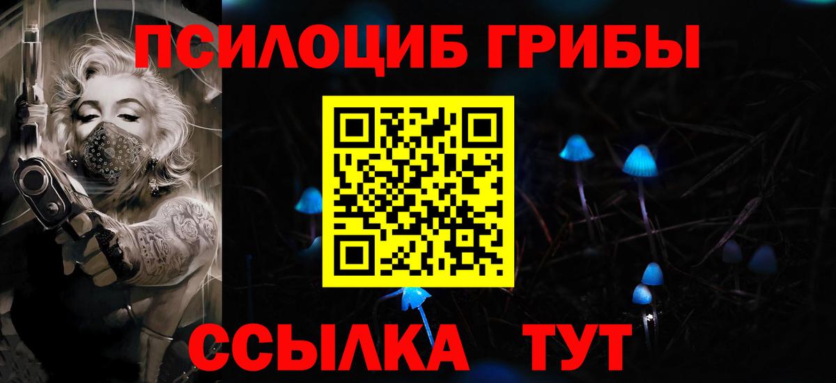 Псилоцибиновые грибы Psilocybe  Вход с VPN  Гай 